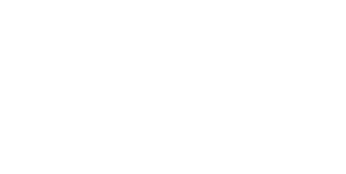 Toya