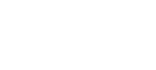 Toya