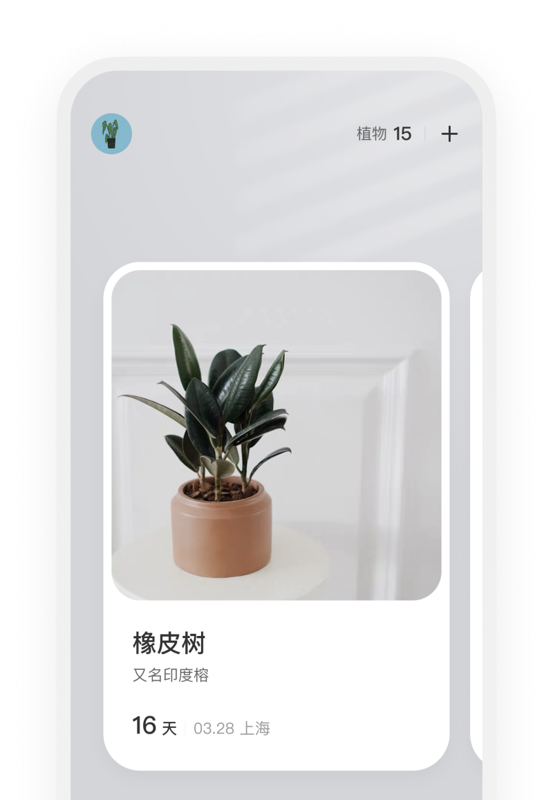 Toya App